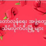 ဒီမြို့တွေကနောင်တချိန်သမိုင်းမာထိပ်ဆုံးက ပါမာနော်